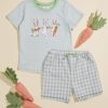 Toddler 2T-5T Tullabee | Rabbit Tee And Gingham Shorts Set By Mudpie